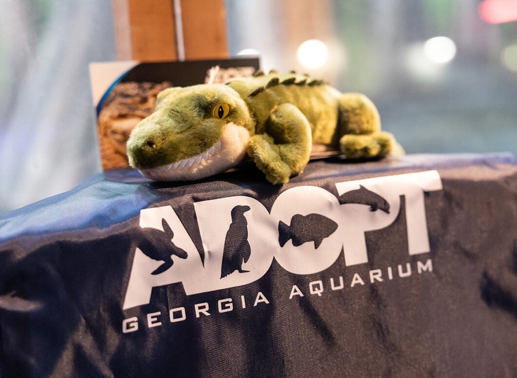 Adopt an Animal Program 4
