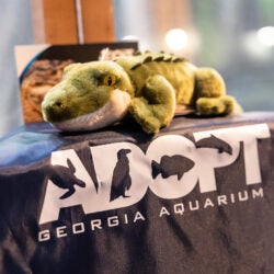 Adopt an Animal Program 4