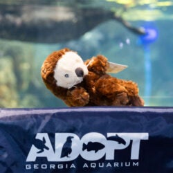 Adopt an Animal Program 5