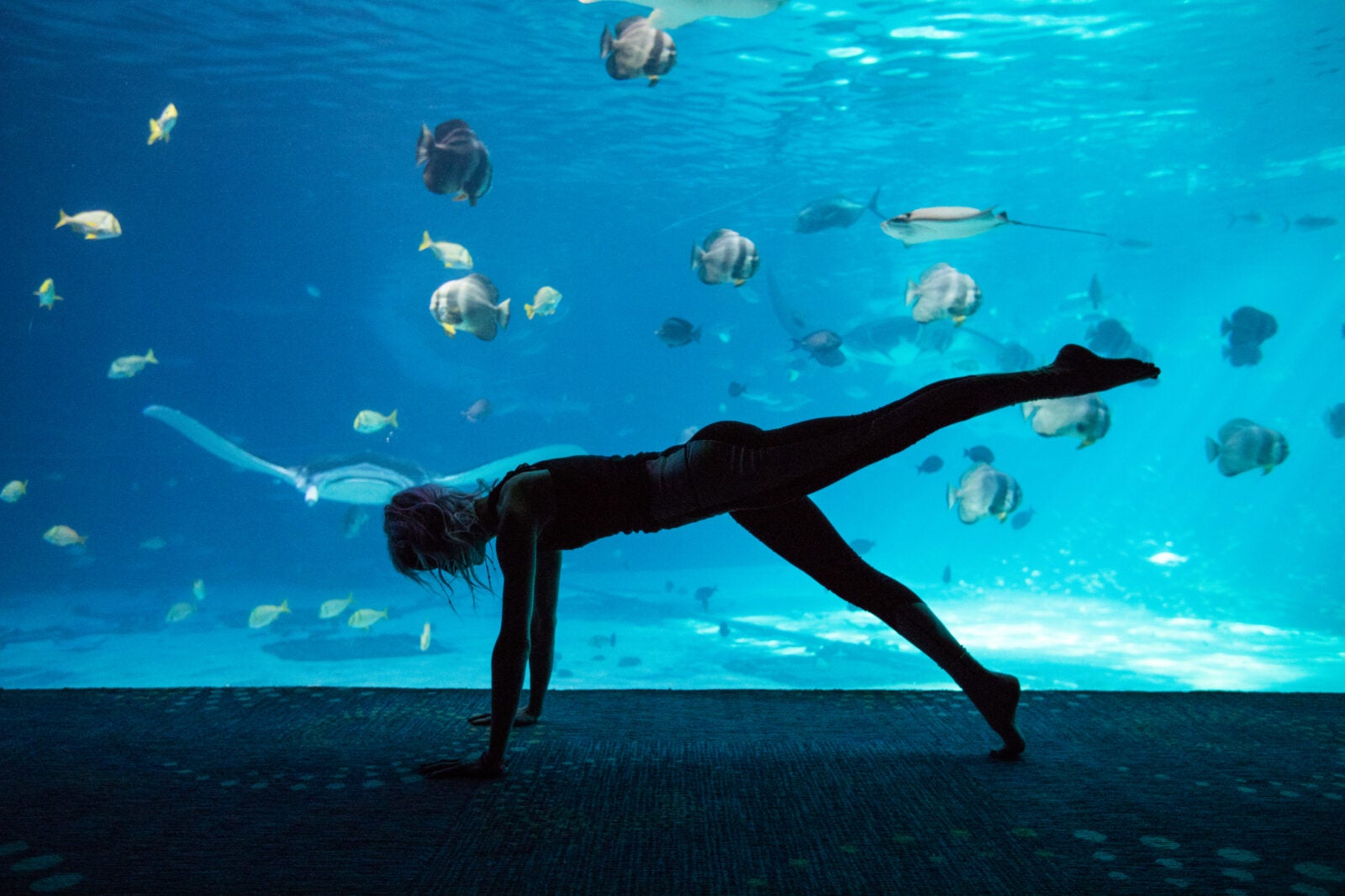 Aquarium’s 2025 Event Calendar