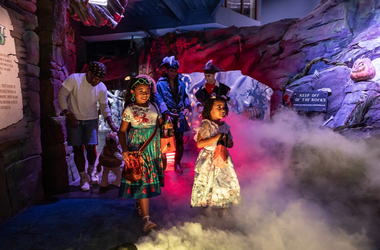 Georgia Aquarium s 2025 Event Calendar