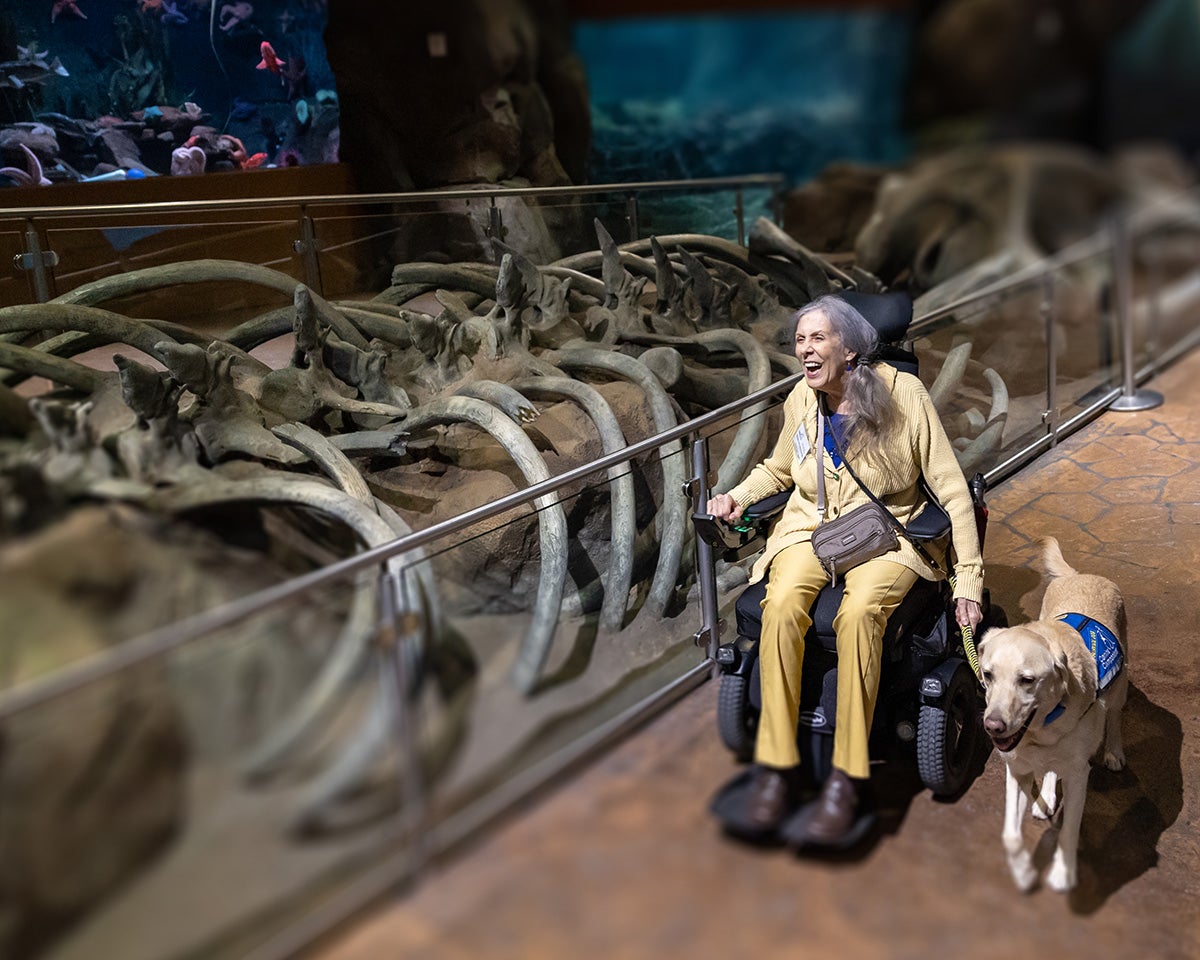 Celebrating 20 Years of Georgia Aquarium 4