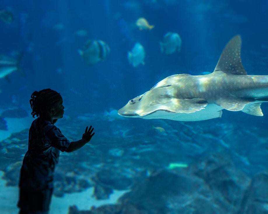 Aquarium’s 2025 Event Calendar