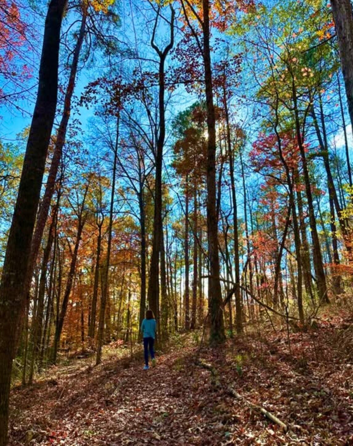 Make a Splash with These Unique Date Ideas in Atlanta 7