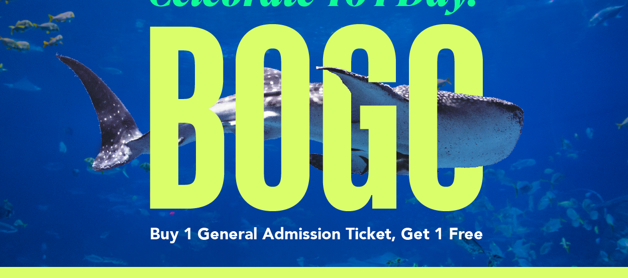 Spring Break Sale and Things to Do 4