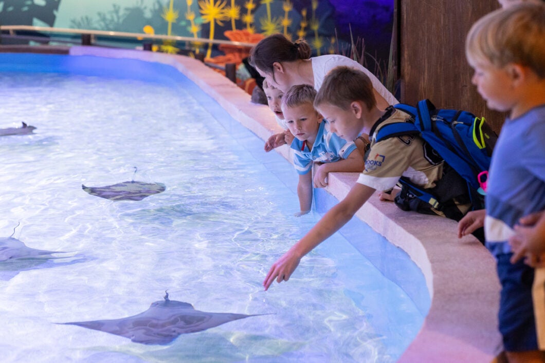 Georgia Aquarium Celebrates a Wave of  Prestigious Nominations in 2025 1