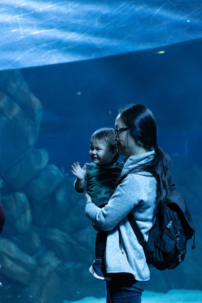 5 Unforgettable Ways to Celebrate Mother’s Day with Georgia Aquarium 1