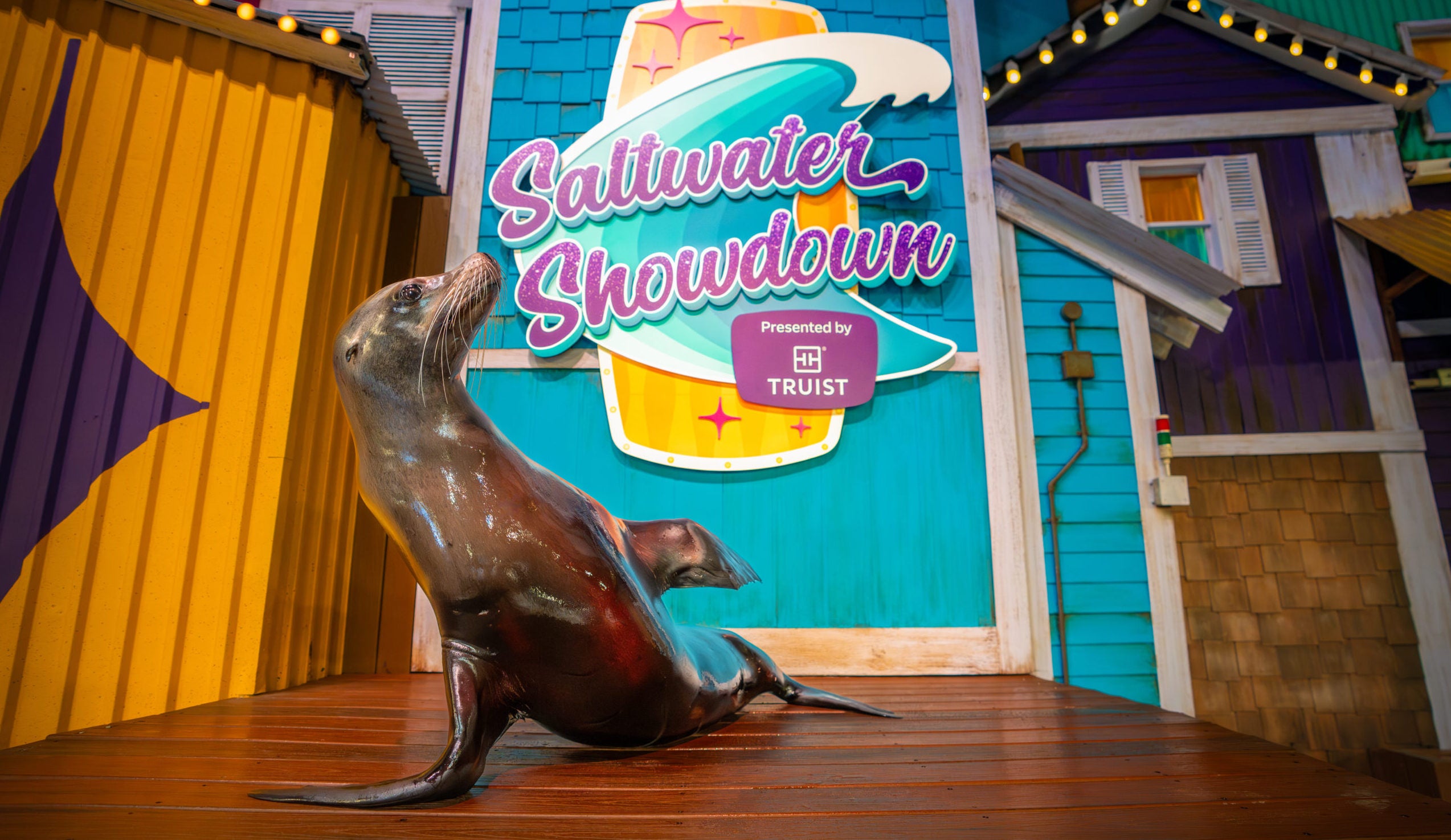 5 Unforgettable Ways to Celebrate Mother’s Day with Georgia Aquarium 10