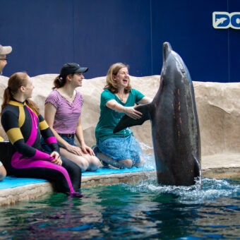 5 Unforgettable Ways to Celebrate Mother’s Day with Georgia Aquarium 11