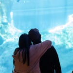 5 Unforgettable Ways to Celebrate Mother’s Day with Georgia Aquarium 2