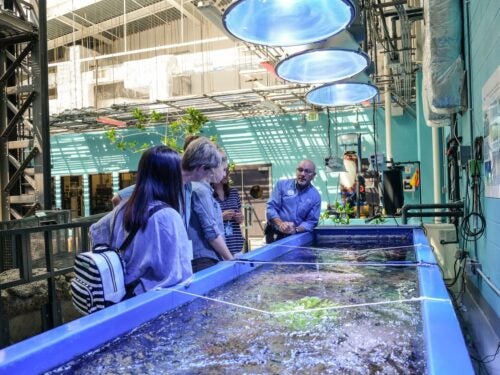 Behind the Seas Tour: Explore the Surface 1