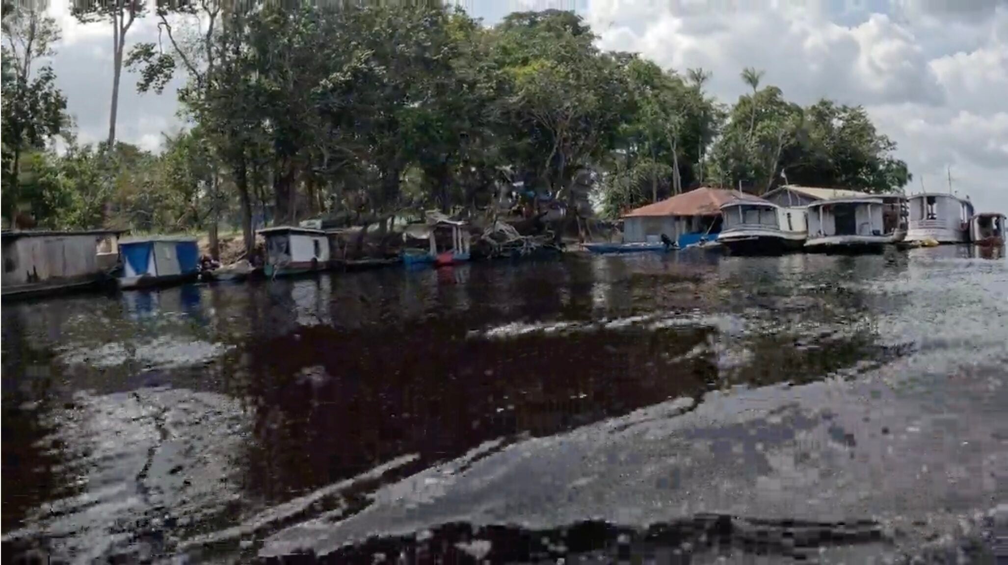 Buy a Fish, Save a Tree: Georgia Aquarium Explores the Amazon Basin in Support of Sustainable Tetra Fisheries 1