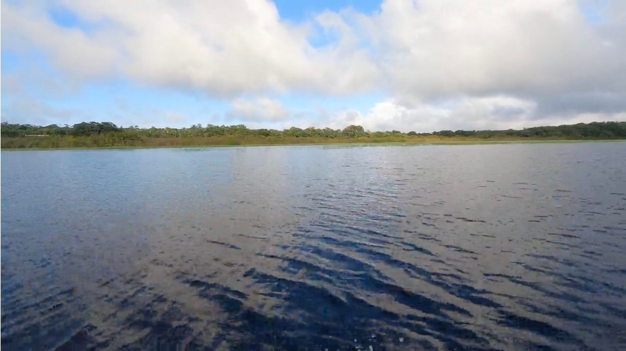 Buy a Fish, Save a Tree: Georgia Aquarium Explores the Amazon Basin in Support of Sustainable Tetra Fisheries 8