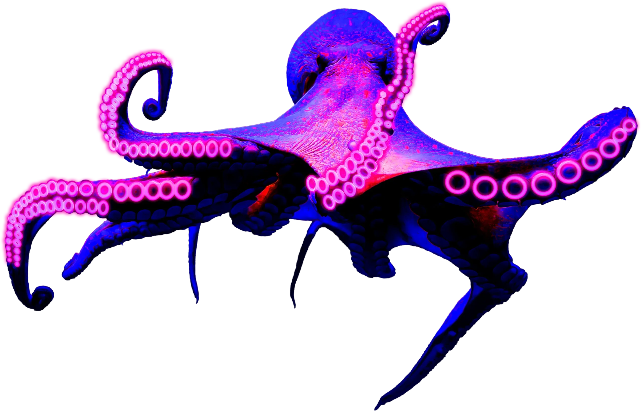 Glow Nights hover