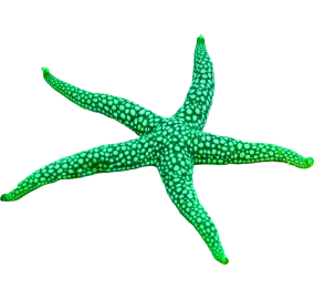 Decorative