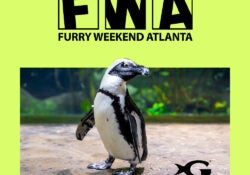FWA Takeover at Georgia Aquarium 2