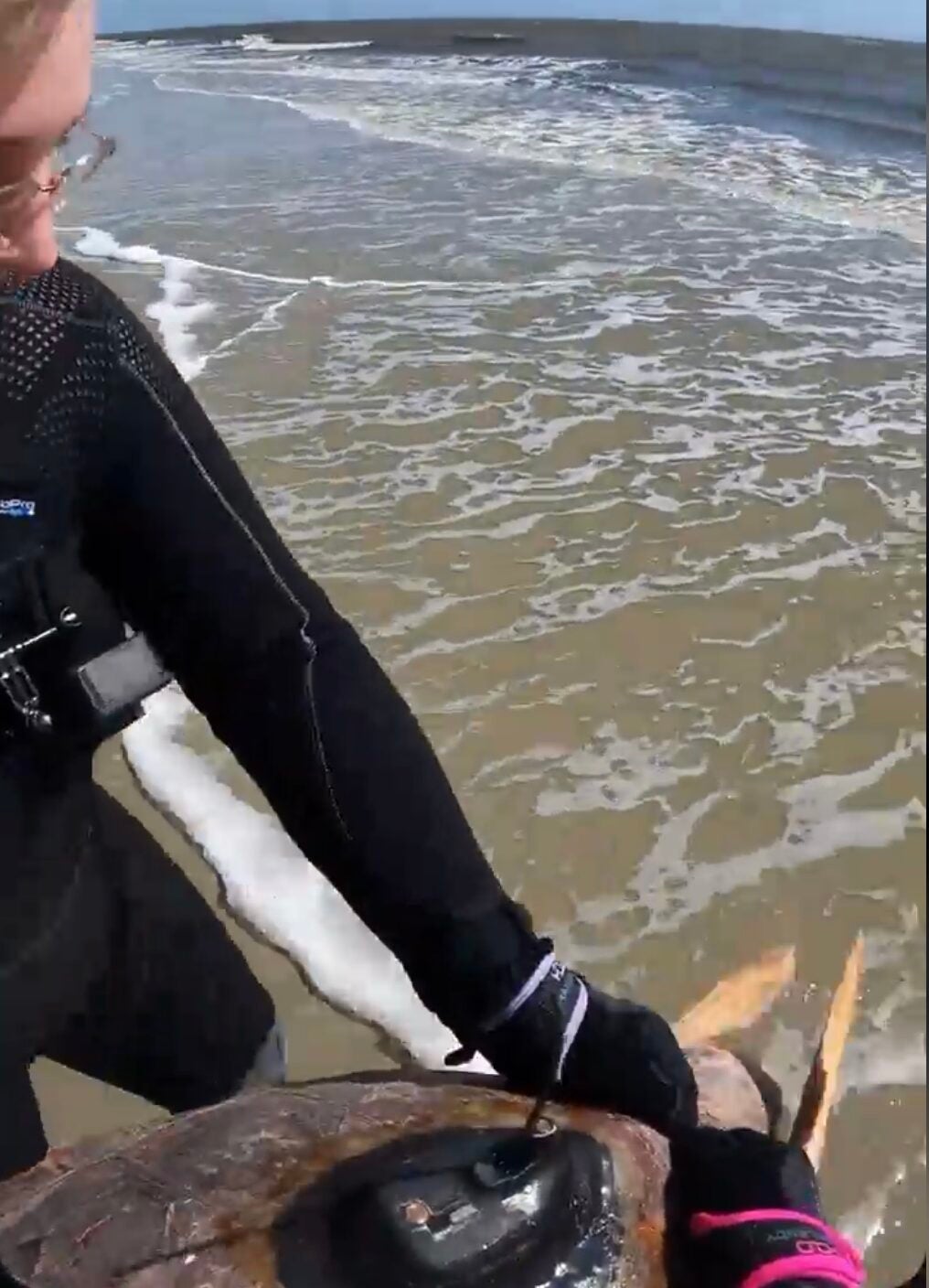 Loggerhead Sea Turtles Return Home After Rehabilitation Journey 11