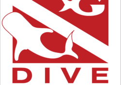Journey with Gentle Giants - Dive 2