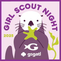 Girl Scout Night 13