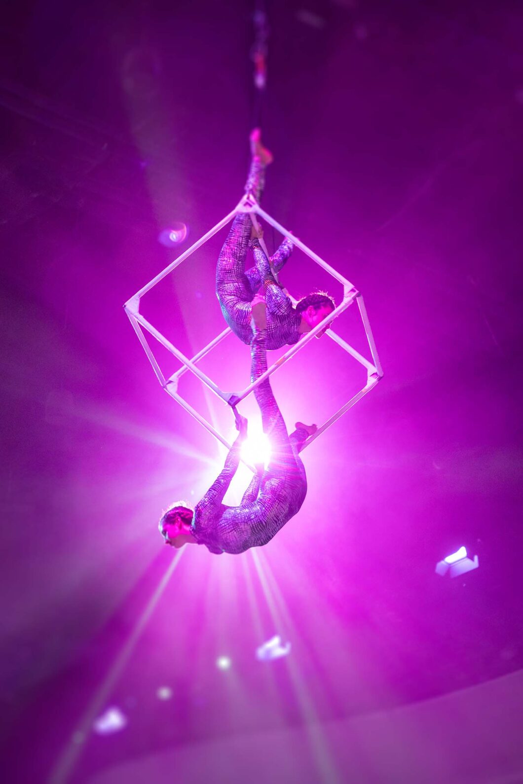 Sips Under the Sea Glow Nights 2