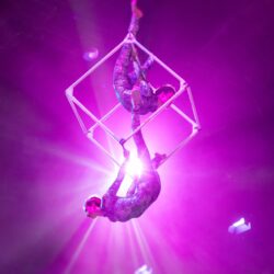 Sips Under the Sea Glow Nights 2