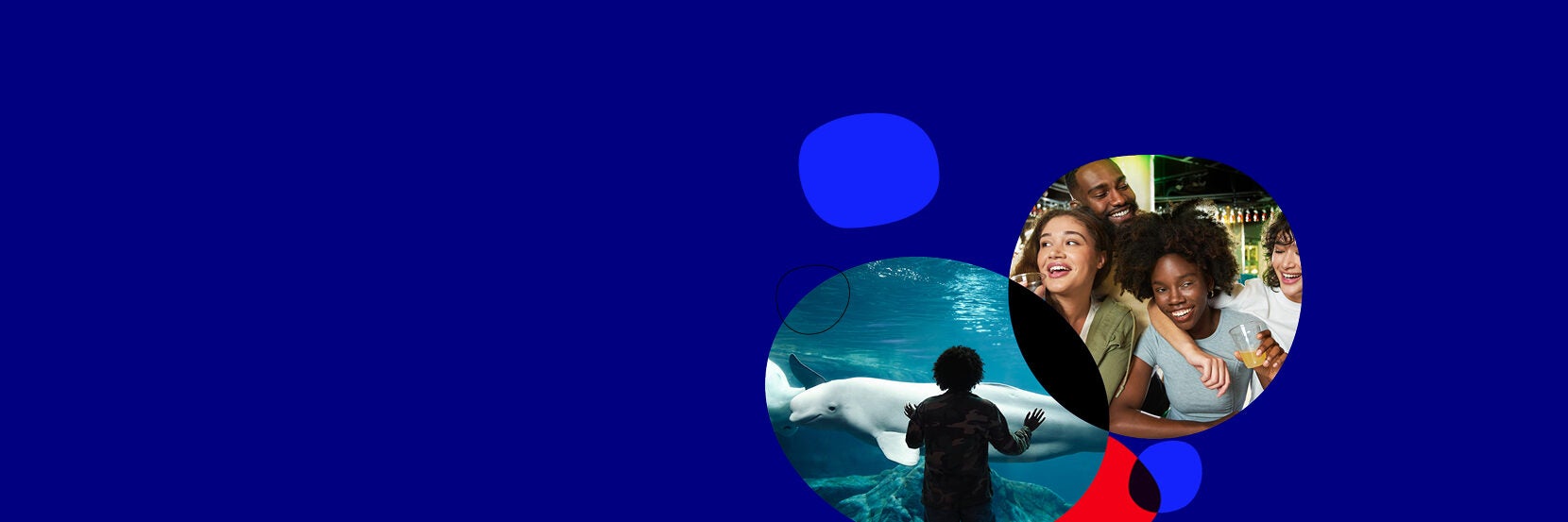 Visit World of Coca-Cola and Georgia Aquarium 4
