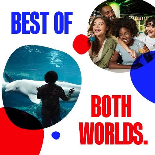 Buy Online and Save | Visit Today | Georgia Aquarium | Located in Downtown Atlanta, Georgia 60