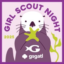 Girl Scout Night 14