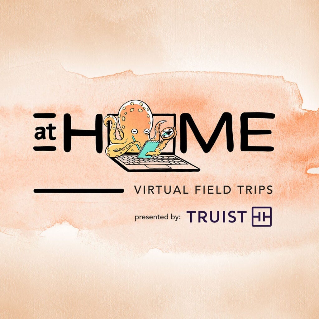 Virtual Field Trips 9