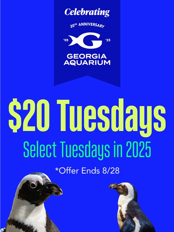 $20 Tuesday Tickets for a limited time