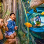 3 kids looking into fish habitat making funny spaces