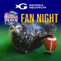 Chick-fil-A Peach Bowl Fan Night 6