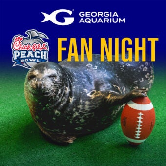 Chick-fil-A Peach Bowl Fan Night 6