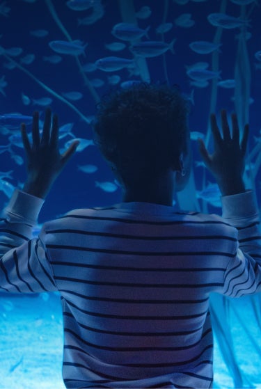 Free Kids Visit With General Admission Purchase