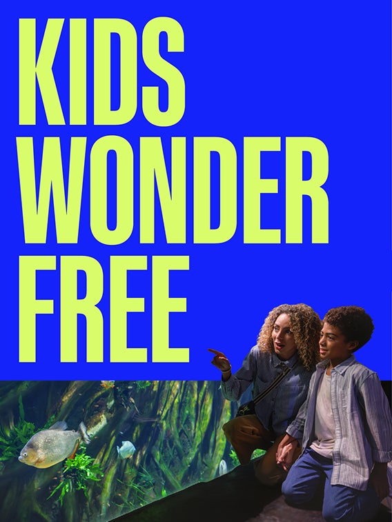Buy Online and Save | Visit Today | Georgia Aquarium | Located in Downtown Atlanta, Georgia 71