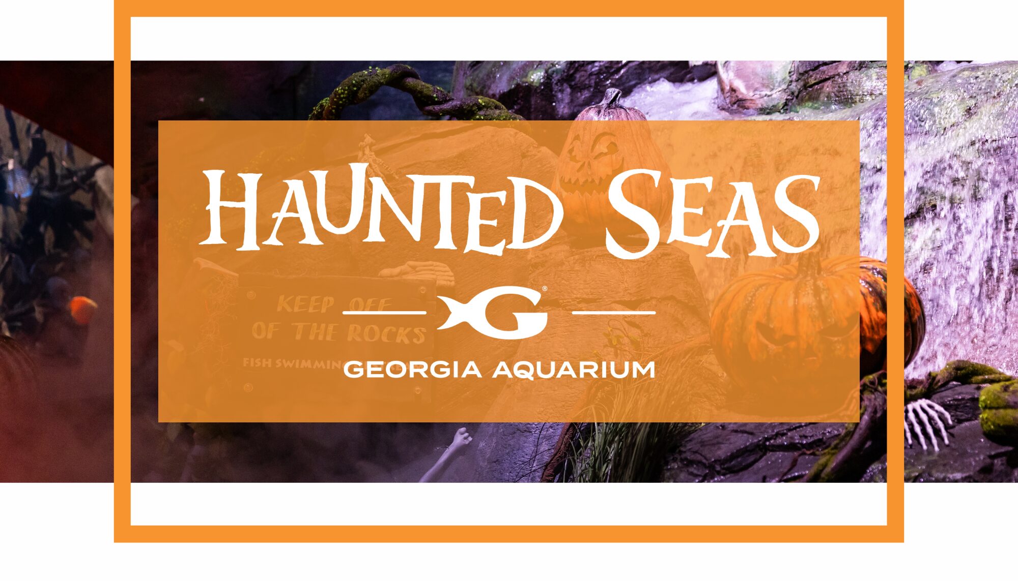 Georgia Aquarium’s Haunted Seas Returns! 13