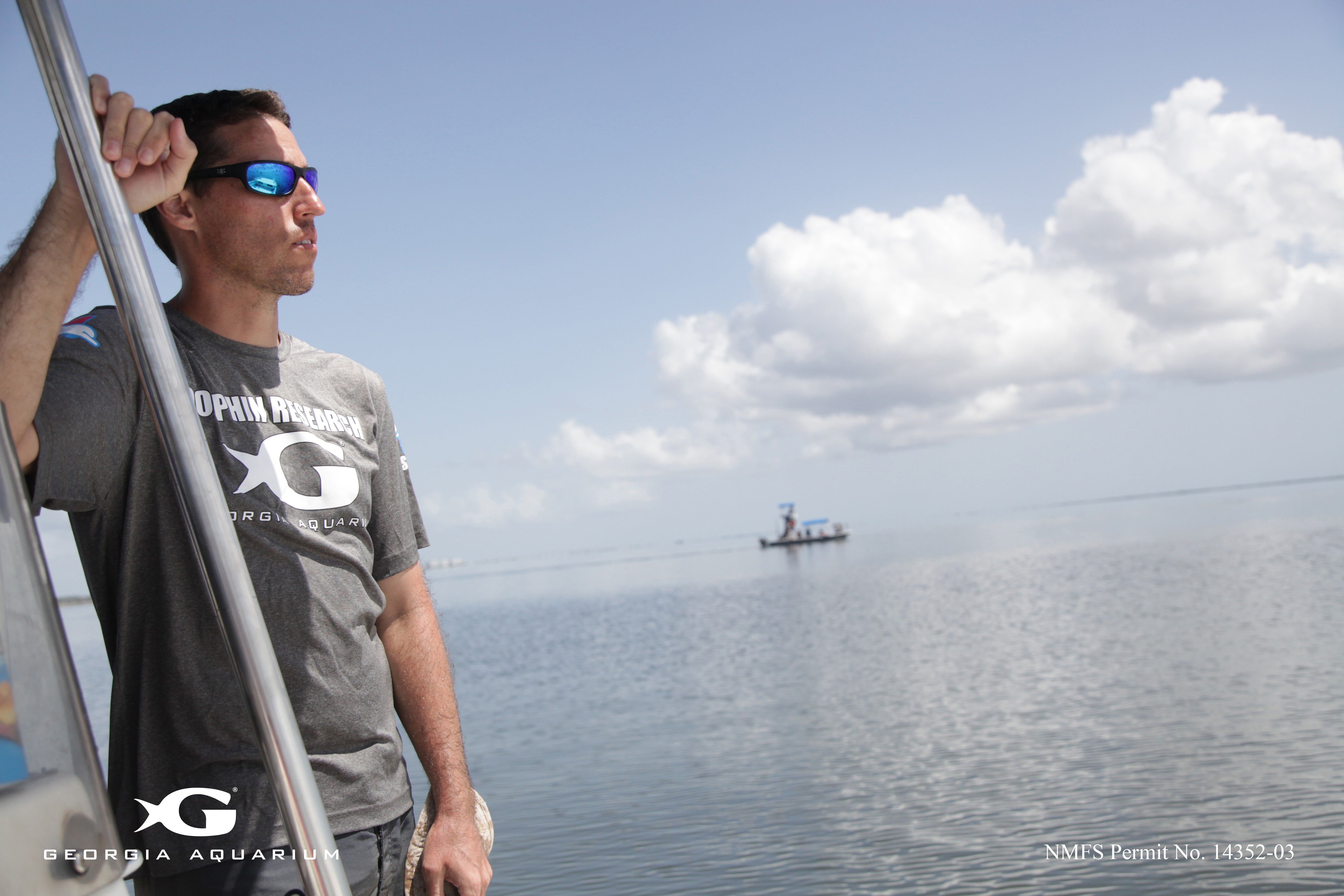 Protecting Dolphins and Our Ocean 2