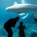 Community Access Program