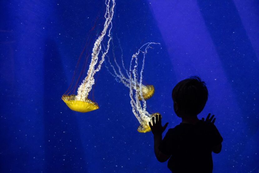 Community Access Program 4