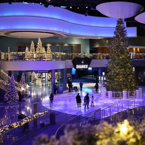 Holidays at Georgia Aquarium 13