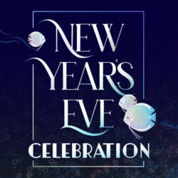 New Year's Eve Celebration 5