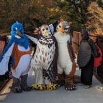 Things to Do Around Atlanta This Fall 9