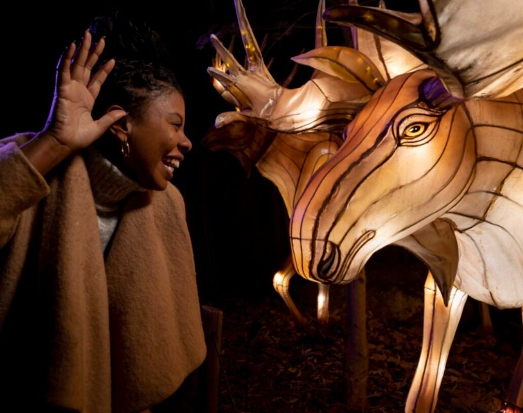 2025 Thanksgiving Activities in Downtown Atlanta 3