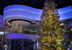 A Merry Member Morning 8