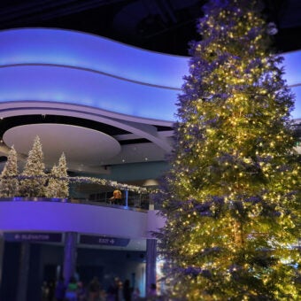 Seasonal Things to Do in Atlanta This December