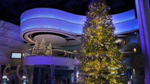 A Merry Member Morning 8