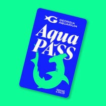 Buy Online and Save | Visit Today | Georgia Aquarium | Located in Downtown Atlanta, Georgia 86