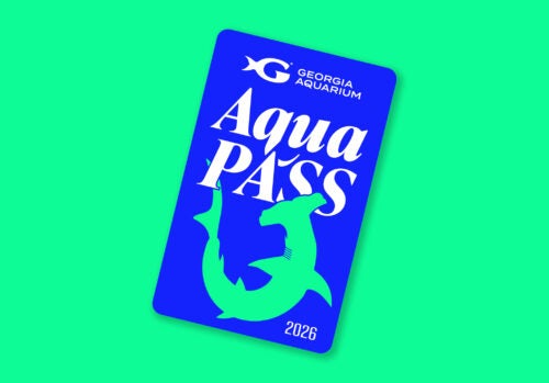 Buy Online and Save | Visit Today | Georgia Aquarium | Located in Downtown Atlanta, Georgia 86
