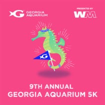 Georgia Aquarium 5KPresented by Waste Management 4