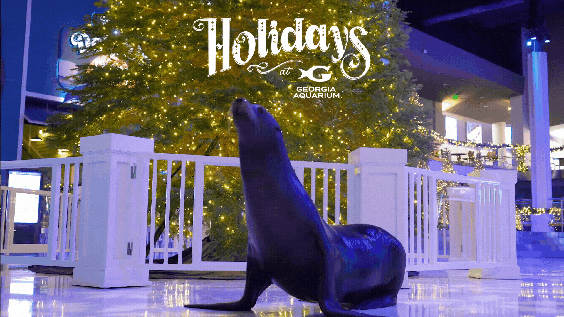 Experience the Magic of the Holidays at Georgia Aquarium 30